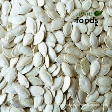 High Quality Fresh Yellow Pumpkin Seeds Specification